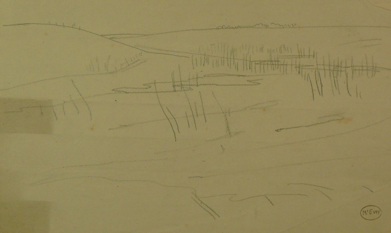 Empty landscape. WW1......DRA/373