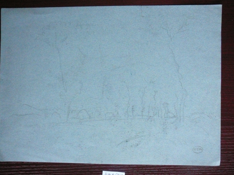Landscape, trees road & Hayricks