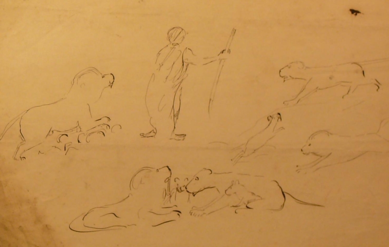 Animal studies