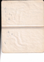 1195.jpg