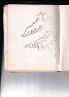 1344.jpg