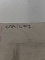 2904.jpg