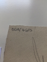 2939.jpg