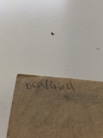 2949.jpg