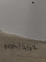 3017.jpg