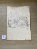 3091.jpg