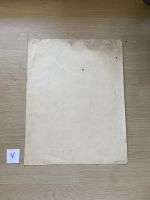 3151.jpg