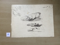 3160.jpg