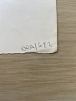 3161.jpg