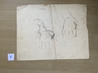3163.jpg