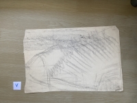 3166.jpg
