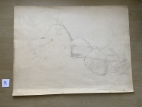 3235.jpg