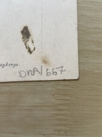 3240.jpg