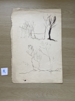 3259.jpg