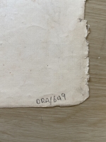 3285.jpg
