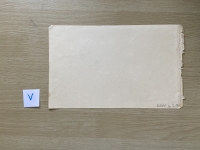 3341.jpg