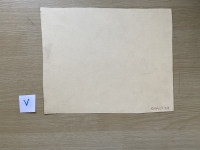 3344.jpg