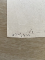 3411.jpg