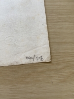 3438.jpg