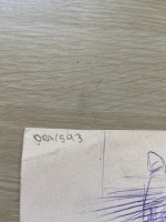 3447.jpg