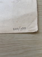 3491.jpg
