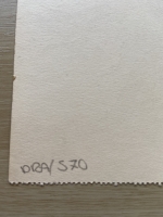 3515.jpg
