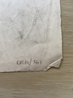 3542.jpg