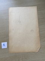 3582.jpg