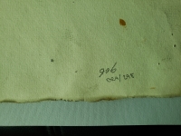 4350.jpg