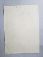 4415.jpg
