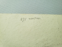 4416.jpg
