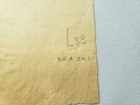 4419.jpg