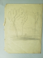 4435.jpg