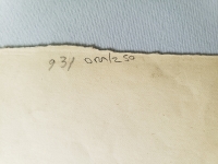 4446.jpg