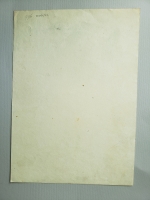 4451.jpg