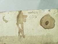 4455.jpg