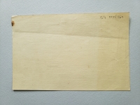 4490.jpg