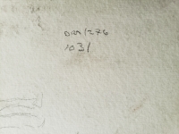 4497.jpg