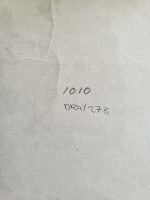4503.jpg